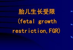 fgr胎儿（fgr胎儿是什么意思）