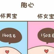胎儿不爱动是女孩吗（胎儿不爱动是女孩吗还是男孩）