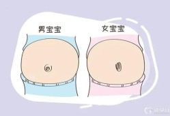 儿子肚和女儿肚区别,孕期肚型图