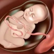 孕38周肚子痛没有见红,38周胎儿发育好了吗正常吗