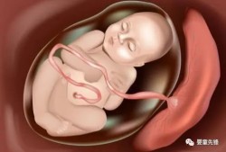 孕38周肚子痛没有见红,38周胎儿发育好了吗正常吗