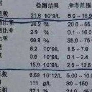 白细胞高中性粒细胞高是怎么回事,孕期中性粒细胞百分比偏高说明什么问题