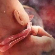 孕期脐带（孕期脐带绕颈有什么症状）