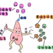 非孕期泌乳（非孕期泌乳素高的原因及后果）