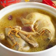孕妇能喝鸽子汤吗,孕期喝鸽子汤的功效与作用
