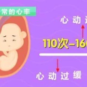 胎心正常胎儿会缺氧吗（胎心正常胎儿会缺氧吗）