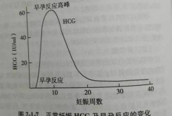 孕期hcg变化（孕期hcg变化曲线图）
