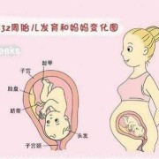 32周胎儿多重（32周胎儿多重才正常）