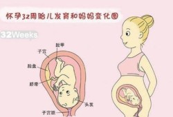32周胎儿多重（32周胎儿多重才正常）