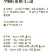整个孕期产检费用（整个孕期产检费用大概要多少钱）