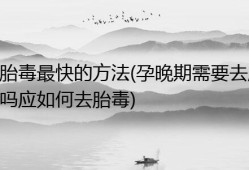 孕期怎样去胎毒（孕期怎样去胎毒最有效）