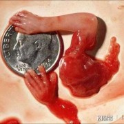 堕胎后真的有婴灵存在吗,胎儿灵魂什么时候入住
