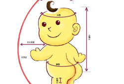 AC是胎儿的什么意思（fl是胎儿的什么意思）