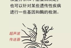 胎儿偏小较多需要做羊水穿刺吗,羊水少会导致胎儿偏小吗怎么办