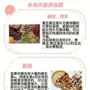 备孕期间吃什么补孕酮（备孕期间吃什么补孕酮）
