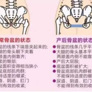 胎儿到耻骨（胎儿到耻骨联合是不是就快生了）