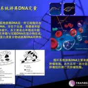 胎儿游离dna（细胞质里有没有游离dna）