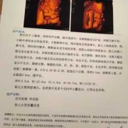 胎儿26周四维彩超（胎儿26周四维彩超发现左肾多囊性发育不良怎么办）