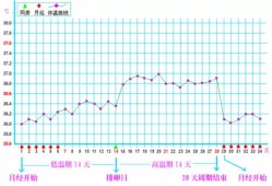 孕期正常体温是多少（孕期正常体温是多少°C）