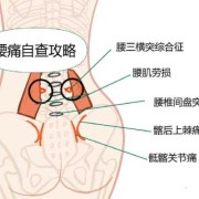 孕期腿根疼（孕妇的阴道口很疼痛是怎么回事呀？弄到大腿根都痛了，好难受呀）