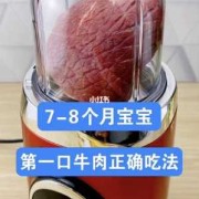 8个月的胎儿（8个月宝宝可以吃什么肉？怎么做）