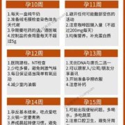 孕期模式（孕妇待产过程中主要的服务模式）