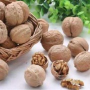 孕期几个月吃核桃最好（孕晚期还需要吃核桃吗?吃核桃对身体好不好）