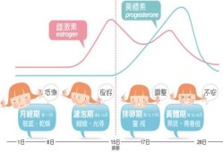 激素对胎儿有什么影响（激素对胎儿有什么影响吗）