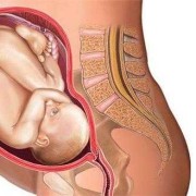 30周如果胎儿头的位置还没有朝下该怎么解决啊,怀孕30周真实胎儿图片 图片欣赏