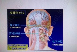 孕期神经痛（孕期神经痛对胎儿有影响吗）