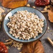 备孕期可以吃薏仁吗（备孕期可以吃薏仁吗）