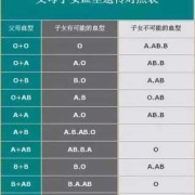 胎儿的血型怎么查（出生证明上有血型吗）