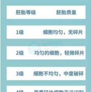 试管胚胎等级有哪些,胎儿级别是什么意思啊