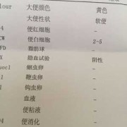 孕期总拉肚子（怀孕后大便次数多怎么回事）