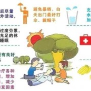 怀孕期间中暑了怎么办（怀孕期间中暑了怎么办啊）