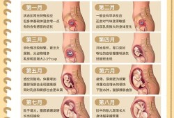 孕期无反应（怀孕40+4周了，一点反应也没有怎么办）