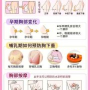 哺乳期乳房如何护理,孕期乳腺护理的好处