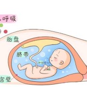 胎儿在羊水里怎么呼吸（胎儿在羊水里怎么呼吸视频）
