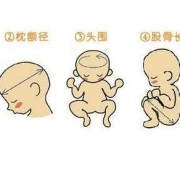 从双顶径和股骨长怎么看出我的宝宝是头大还是腿长,胎儿腿长是女孩吗?