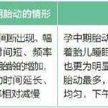 怀孕五个月胎动厉害是什么原因呢,胎儿几个月胎动最频繁?
