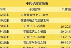 宫高高是胎儿大吗（孕30周宫高比28周长一厘米正常吗）