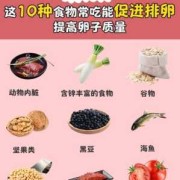备孕期吃什么好,备孕期吃什么对卵泡发育好