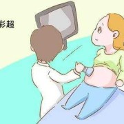 整个孕期胎儿都不爱动（整个孕期胎儿都不爱动 检查都正常）