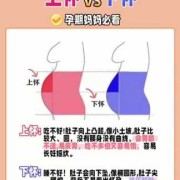 孕期怎么分（孕期怎么分早中晚三期）