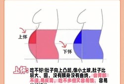 孕期怎么分（孕期怎么分早中晚三期）