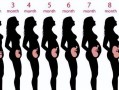 四个月胎儿在腹部哪里（怀孕4个月正常肚子应该是什么样子的呢）