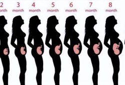 四个月胎儿在腹部哪里（怀孕4个月正常肚子应该是什么样子的呢）