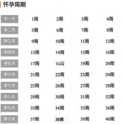 孕期周数和月份（一年周数对应月份）
