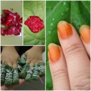 孕期包指甲（用指甲花包指甲的好处）