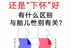 上怀和下怀由什么决定？需要注意什么,胎儿下怀的原因有哪些